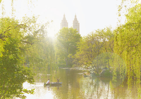 Central Park II 2011
